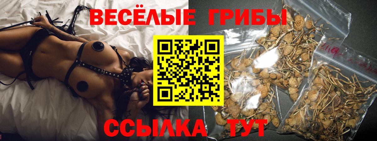 Снежинск  Галлюциногенные грибы Magic Shrooms  Вход с VPN  купить  сайты  Галлюциногенные грибы ЛСД 
