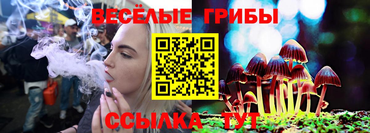 Галлюциногенные грибы Magic Shrooms Снежинск